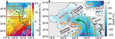 Wind-driven nearshore overturning currents off the northeastern Shandong Peninsula in the Yellow Sea in winter